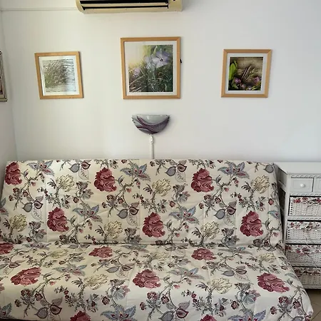 в риф 2 * בורגאס